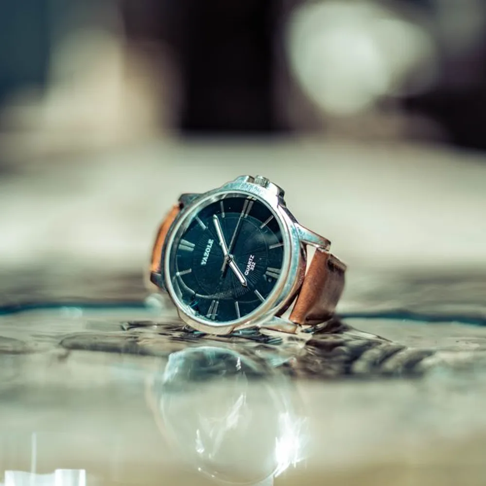 Chronoly Meridian Classic image 1